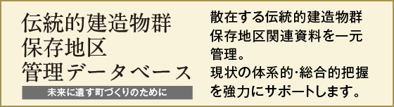 伝統的建造物群保存地区管理データベース